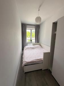 Apartament Modrzewia