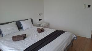 Cheapest Luxury 4 stars apartment Crikvenica, 3AC, close to sandy beach