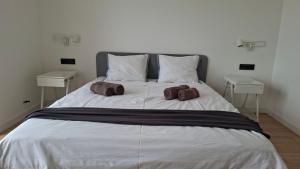 Cheapest Luxury 4 stars apartment Crikvenica, 3AC, close to sandy beach