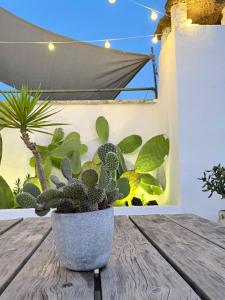 Casa Annina