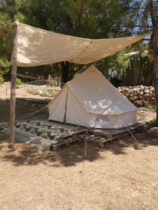 Türkdomes Glamping