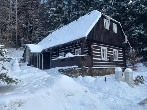 Chaloupka u lesa
