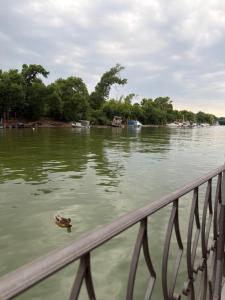 Vasilisa Luxury River House