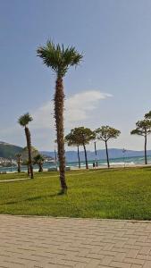 Marina Comfort Apartment