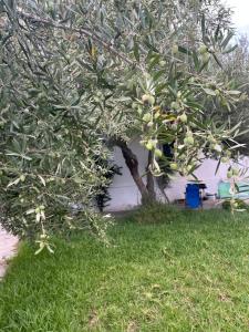 3 bedroom Villa with garden