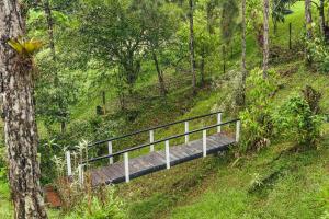 El Santuario I Shelter among Pines l Pet Friendly