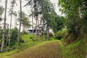 El Santuario I Shelter among Pines l Pet Friendly