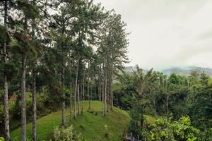El Santuario I Shelter among Pines l Pet Friendly