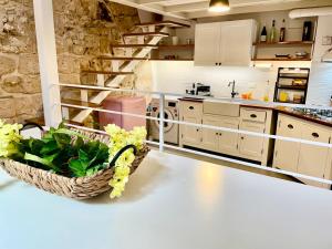 Casa Colore Archi
