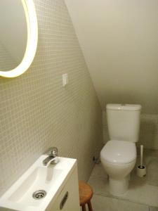 Cosy Studio Santa Catarina