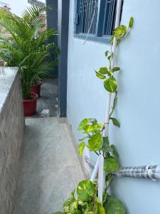 HOMESTAY MEDANTA Lucknow