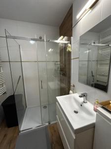 Apartament w Dolinie Baryczy