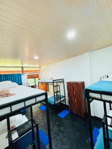 Glowhaven Hostel