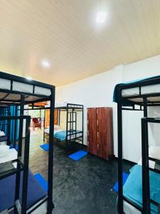 Glowhaven Hostel