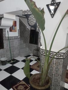 Riad el yacout