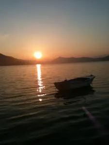 Apartments Ljiljana - Zavala