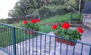 Vanni's House - Cannobio