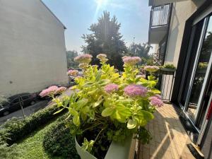 B&B Dream Milano Santa Giulia Free Wi-Fi M3