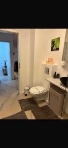 Amethyst Avram Iancu 460e