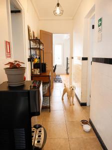 Casa Tribu