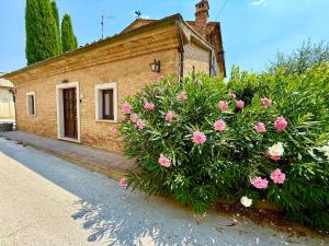 Casa L Oleandro