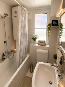 Room in a shared flat near the train station with large kitchen