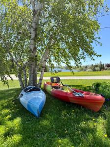 Riverfront Cottage, firepit, hot tub near Mackinac