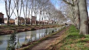 Appartements Le Brienne Toulouse Centre : photos des chambres