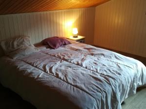 Chalet au centre, 12 pers. - FR-1-836-81
