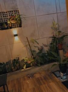 Homestayhelllowan