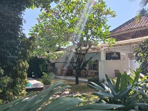 Alita Sanur