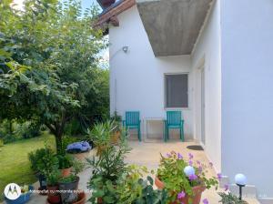 Casa Albinelor - Terasă - Apartament 2-6 persoane