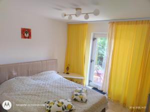 Casa Albinelor - Terasă - Apartament 2-6 persoane