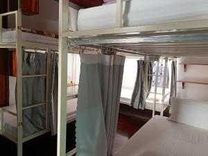 City Backpackers Hostel