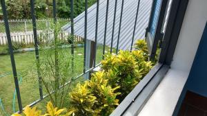 Hoa Cỏ May Homestay