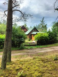 Zielony domek na Kaszubach