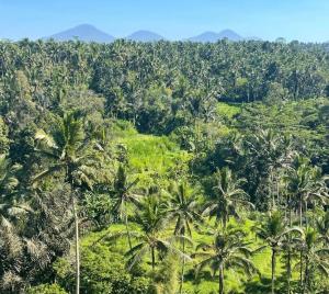 River Song Ubud, Bali