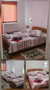 Pensiunea Casa Popan