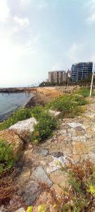 Sea Senses Paradise