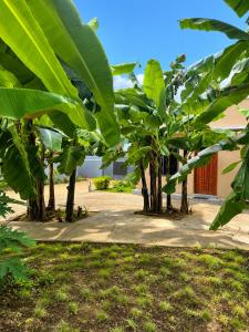 Ecostar apartments