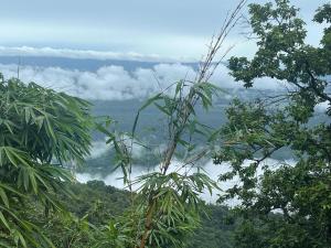 Riverside Villa 2BHK Sal Forest & River Sanctuary