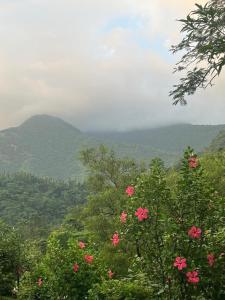 Riverside Villa 2BHK Sal Forest & River Sanctuary