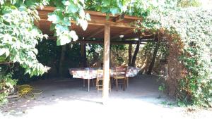 Villetta a Pescia romana