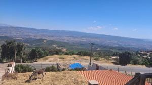 Gîte Ecotouristique Lalla Khadidja
