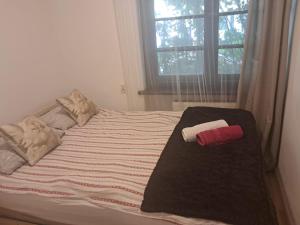 Pink & Sun Apartment