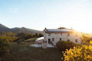 Tenuta del Picchio