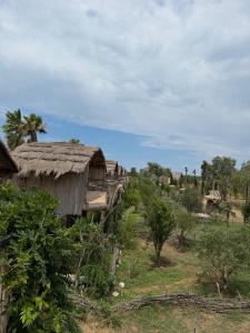 Astoha