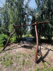 Dziki Gaj - Dzikie Siedlisko