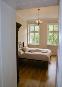 Apartment in Karlovy Vary - Delux