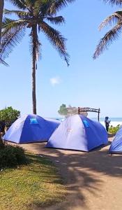 Tenda Standar Pantai Madasari